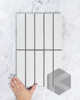 Sabi White Matt Glazed Porcelain Mosaic 45x195mm